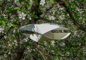 Wing-style insect monitoring trap in apple orchard