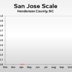 San Jose scale