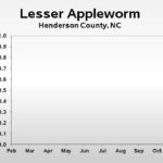 Lesser appleworm