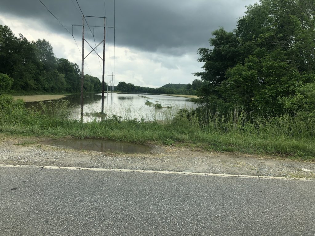 flooded field