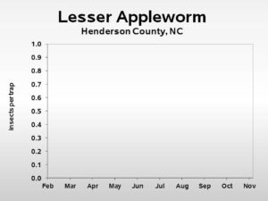 lesser appleworm insect trend