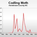 Codling moth population trend graph