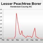 Lesser peachtree borer population trend graph