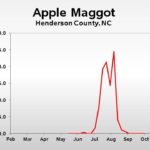 Apple maggot population trend graph