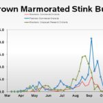 Brown marmorated stink bug population trend graph