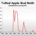 Tufted apple bud moth population trend graph