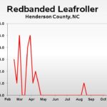 Redbanded leafroller population trend graph