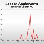 Lesser appleworm population trend graph