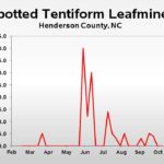Spotted tentiform leafminer population trend graph
