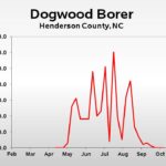 Dogwood borer population trend graph