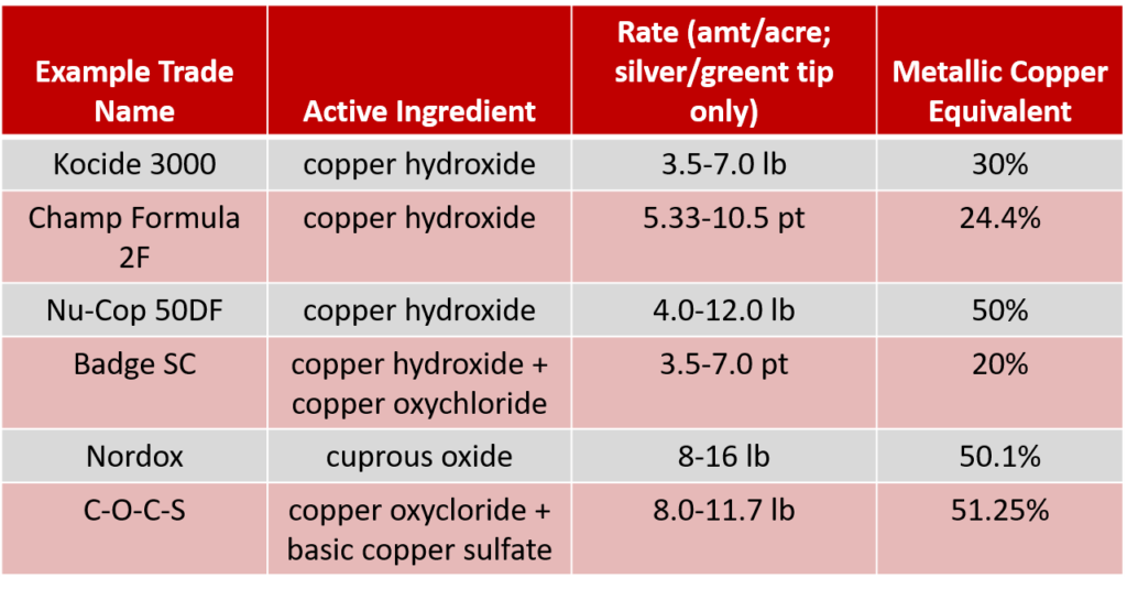 Table listing copper products for early season fire blight management