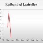 Redbanded leafroller chart