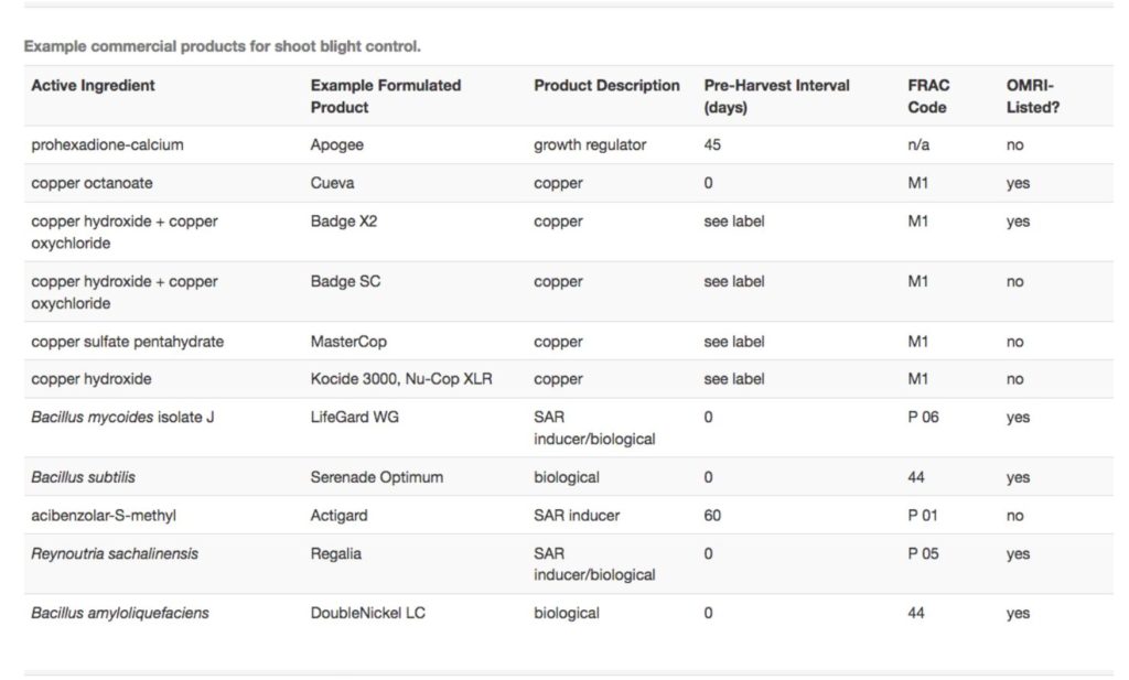 products for shoot blight control