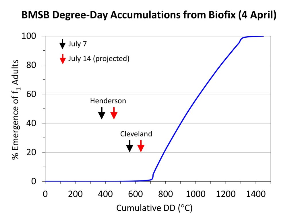 Brown marmorated stink bug degree day accumulation chart