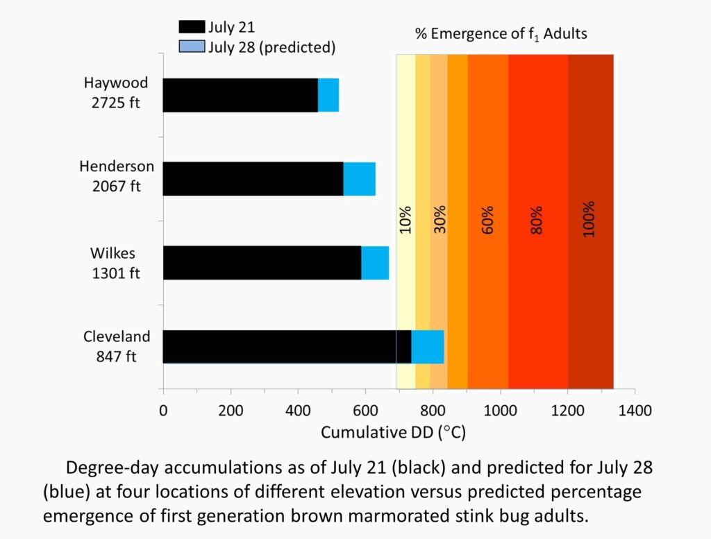 Chart of brown marmorated stink bug emergence predictions at different elevations