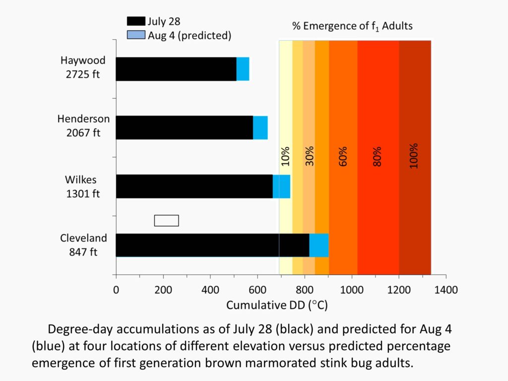 BMSB emergence chart