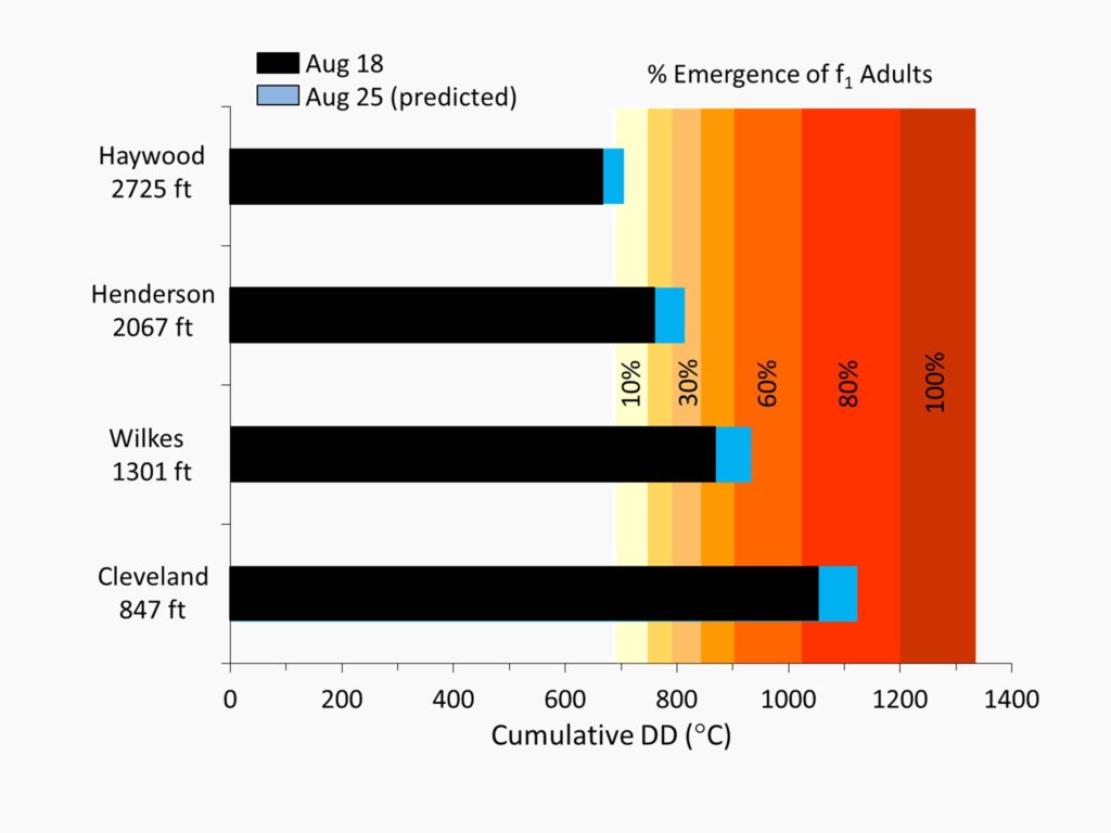 Chart showing brown marmorated stink bug emergence at various locations