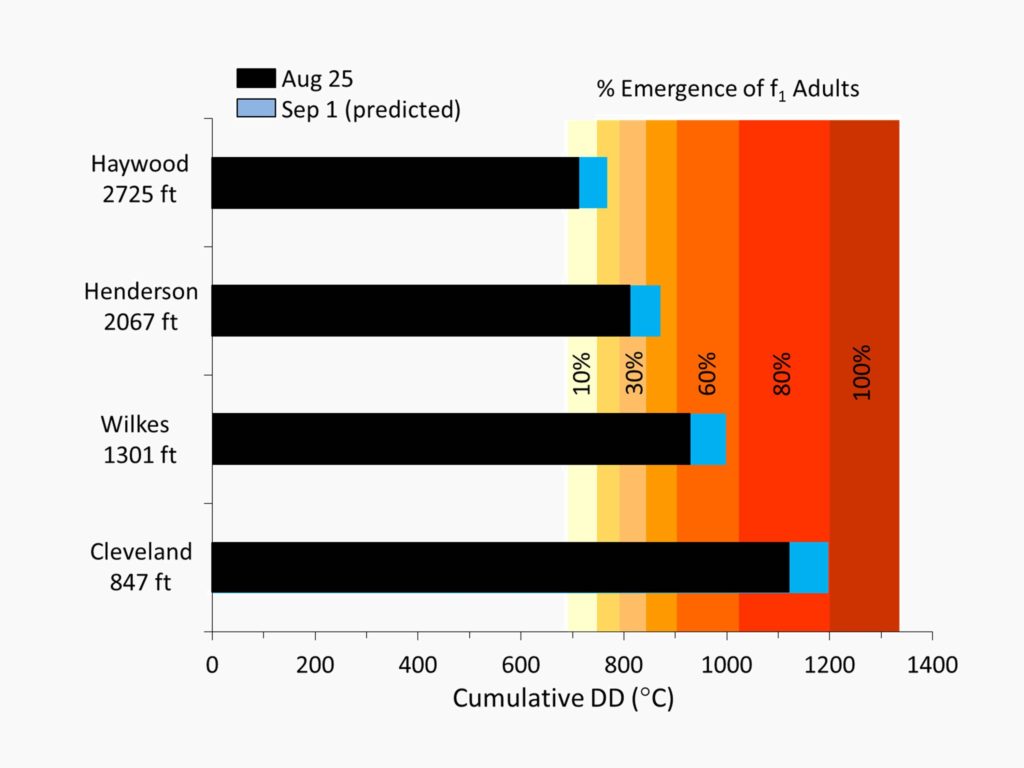 Chart showing projected brown marmorated stink bug emergence in coming weeks