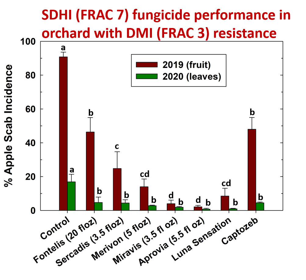 Performance of SDHI Fungicides against apple scab on apple