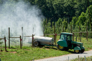 Spraying apple orchard