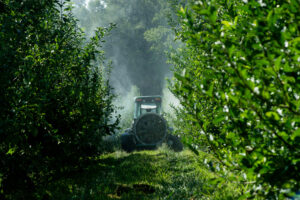 Sprayer in orchard