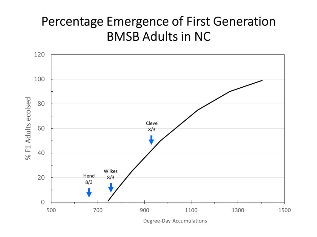 Graph of stink bug population growth