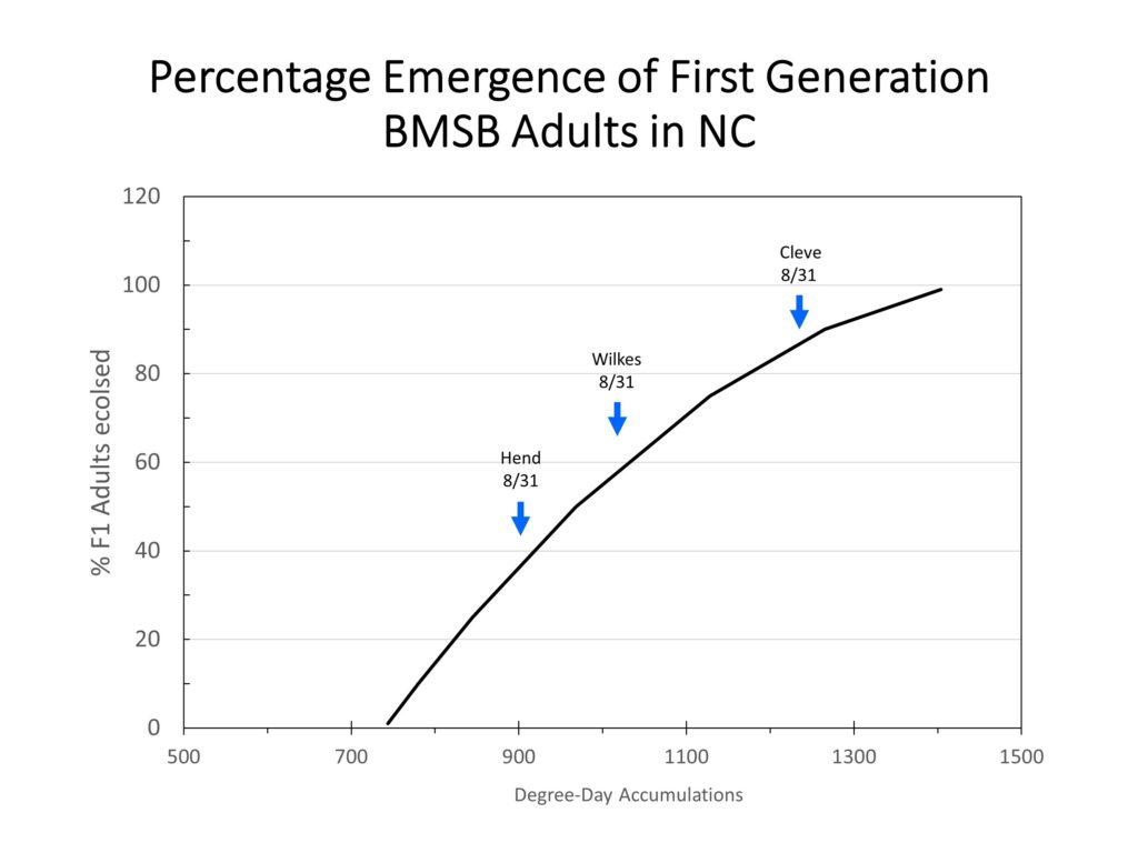 Brown marmorated stink bug population chart