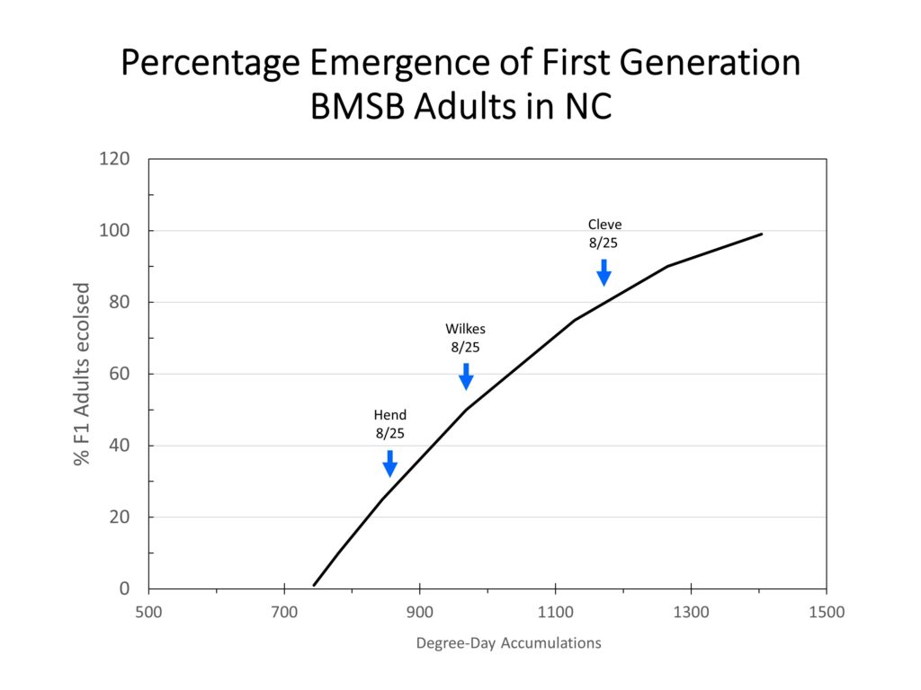 Chart showing brown marmorated stink bug emergence