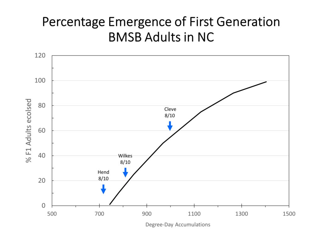 Chart showing brown marmorated stink bug emergence