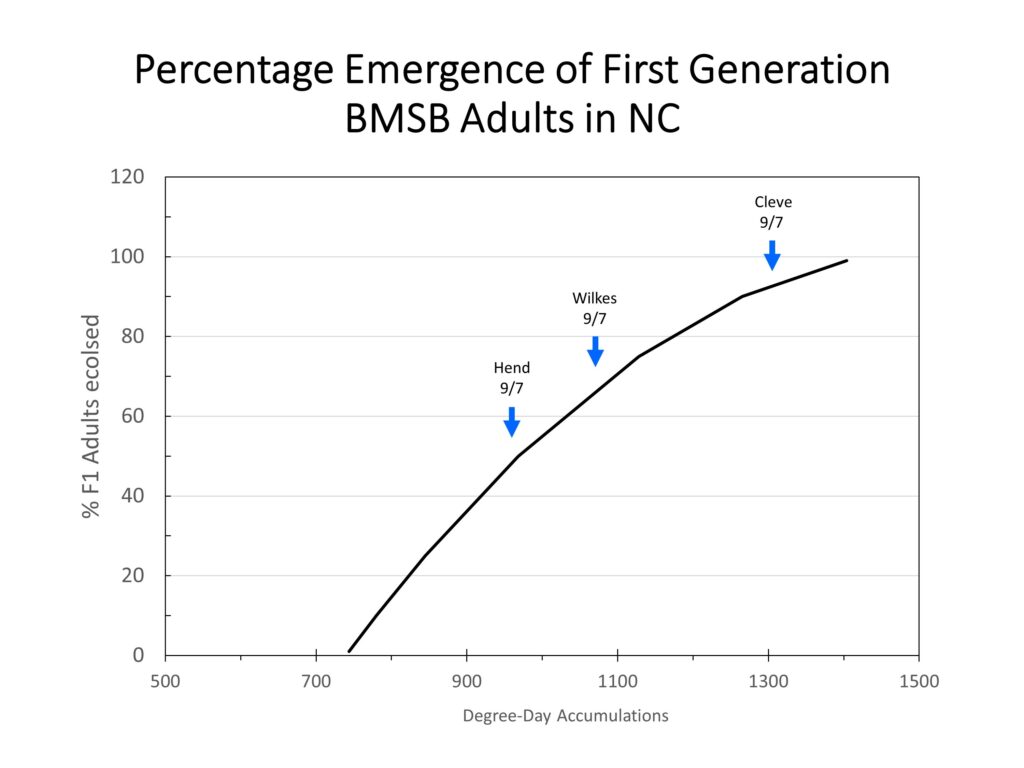 Chart showing brown marmorated stink bug population trends