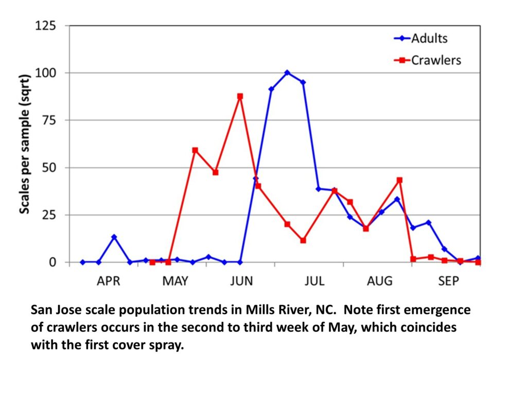 Chart showing San Jose scale trap captures