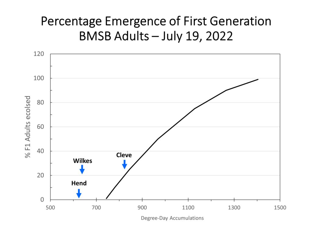 Chart showing brown marmorated stink bug emergence for 2022