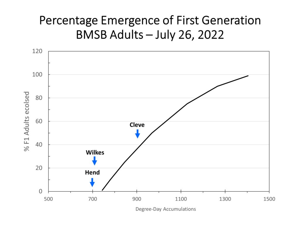 Chart showing brown marmorated stink bug emergence in 2022