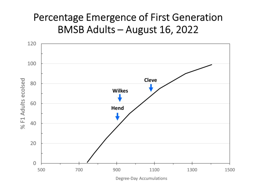 Chart showing brown marmorated stink bug emergence in three locations