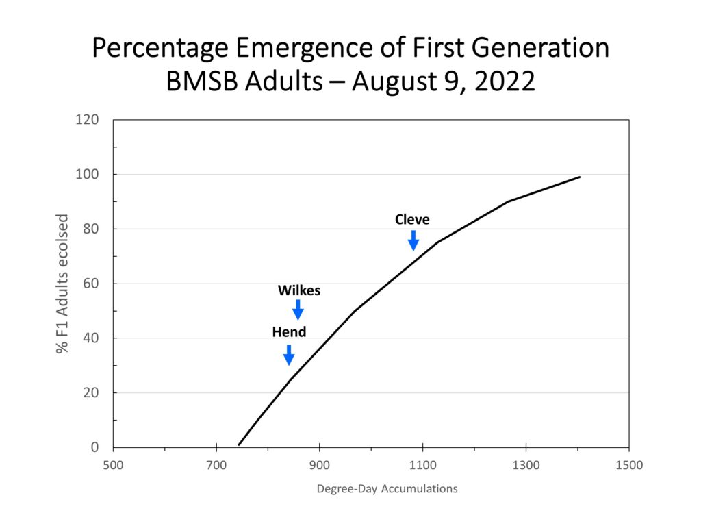 Chart showing brown marmorated stink bug population development in different WNC counties