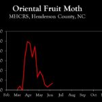 chart showing insect orchard population trends