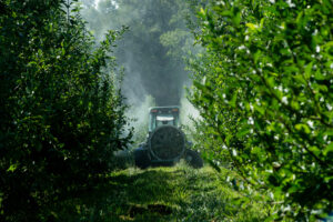 Sprayer in apple orchard