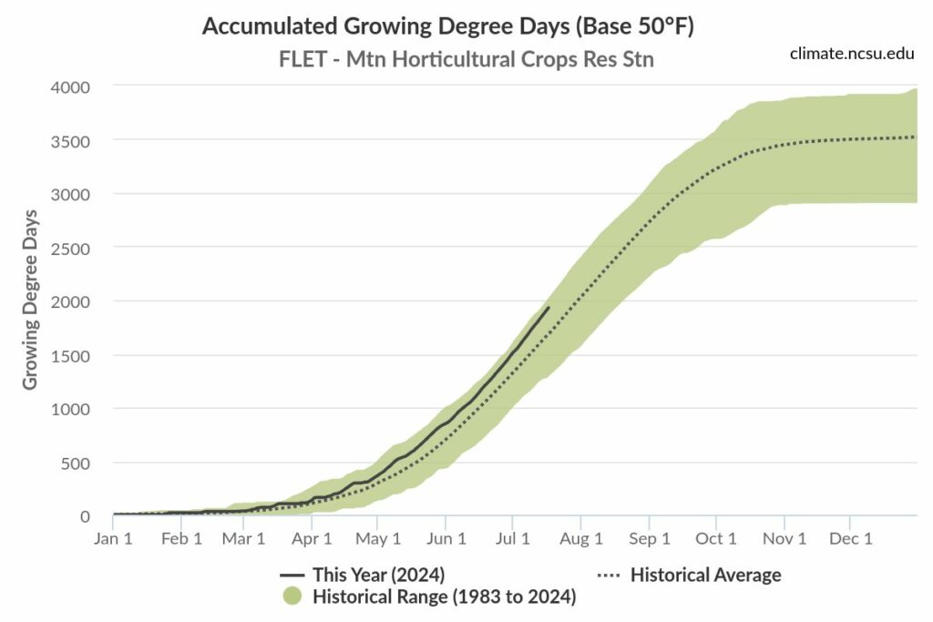 At present (07.18.24), growing degree day accumulation (base 50) in Mills River, NC is 240 hours greater than the 41 year average