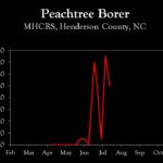 Chart showing insect population trends