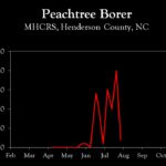 Chart showing insect population trends