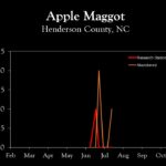 Chart showing insect population trends