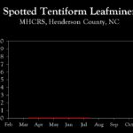 Chart showing insect population trends