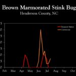 Chart showing insect population trends