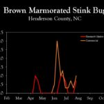 Chart showing insect population trends