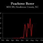 Chart showing insect population trends