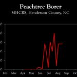 Chart showing insect population trends