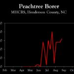 Chart showing insect population trends