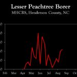 Chart showing insect population trends