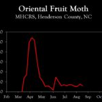 Chart showing insect population trends