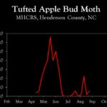 Chart showing insect population trends